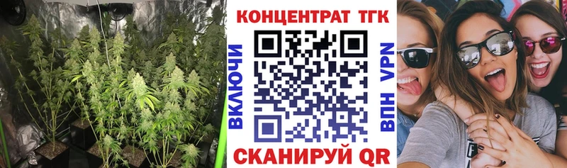 Дистиллят ТГК THC oil  Талица 